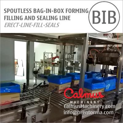 China Spoutless Carton Liner Bag in Box Filling and Packaging Line for Fluids for sale