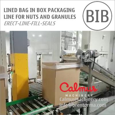 China Liner Bag in Box Forming Filling Sealing Line for Packaging Nuts and Granules for sale