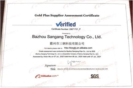  - Bazhou Sangang Technology Co., Ltd