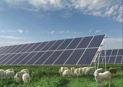 Chine Grande taille panneaux solaires polycristallins de picovolte de 350 watts à vendre