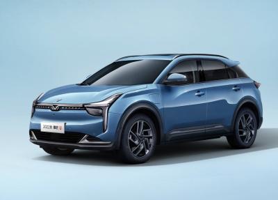 China NETA U Hozon auto Suv novo de capacidade elevada 2022 auto portas elétricas puras do veículo elétrico 400-610KM 5 5 assentos à venda