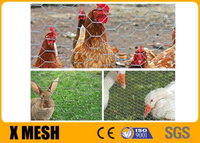 China Antirust Galvanized Hexagonal Chicken Mesh Rabbit Netting Screen 0.9X 30M Roll en venta
