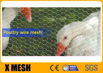 poultry netting products for sale