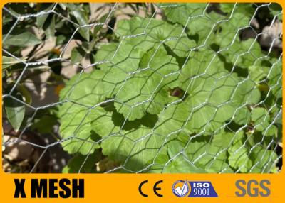 中国 15m Poultry Rabbit Wire Mesh Fencing Silver Color High Tensile Strength 販売のため