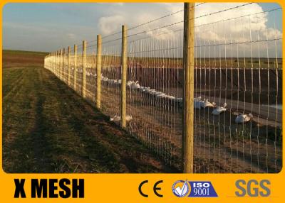China Fixed Knot Field Wire Fence for sale