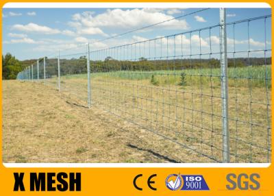China ASTM A121 15cm Hinge Joint Fencing Wire Mesh Hot Dipped Galvanized for sale
