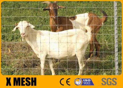 China PVC Coated Galvanized Metal Farm Fence 1200 Mpa 1.2m Height for sale