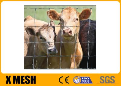 Cina Il PVC ha ricoperto l'azienda agricola del metallo recinta il bestiame 1400 del Mpa recinta Panels in vendita