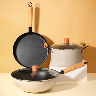 China Kitchen Maifan Stone Coating Cast Iron Pot Set With Wooden Handle for sale