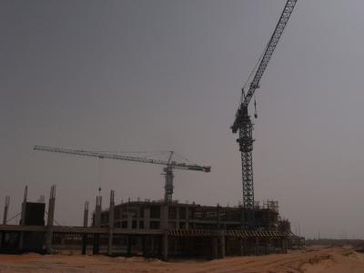 China Arrendamentos do guindaste de torre da construção com poder do material 380V/50HZ 440V/60HZ do aço de manganês de Q345B à venda