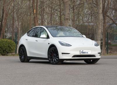 Китай Гибридная новая энергия Tesla Электрический автомобиль SUV EV Высокоскоростной электромобиль продается