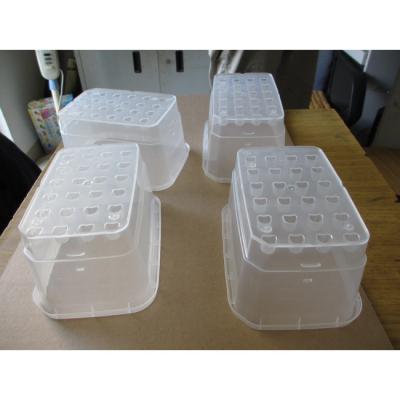 China Single shot injection molding/Plant seed Box/material PP HP-740T/ Natural/ Polish surface for sale