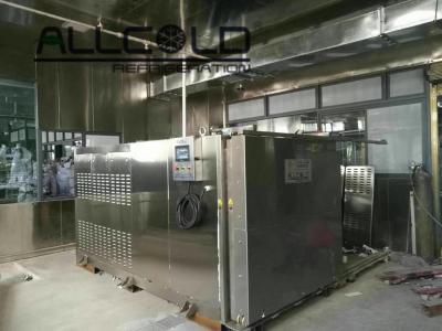 China 2 trolley 500KG/cycle baked food/cooked food/steam food/stuffing food vacuum cooler,fast cooling machine à venda