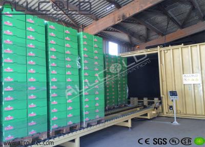 China R407C R404A Leafy Vegetable Cooling Machine AVC-3000 For Brussel Sprouts for sale