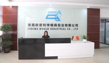 Επαληθευμένος προμηθευτής Κίνας - ERBIWA Mould Industrial Co., Ltd