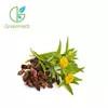 China Flagship Products Salidroside 3% Rhodiola Rosea Extract for sale