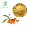 China Free sample 5%-50% flavones freeze dried sea buckthorn powder Sea buckthorn Extract Pure Juice Powder for sale