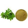 China Factory Supply 10:1 Oregano Herb Origanum Vulgare Extract Powder for sale