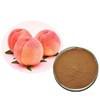 China High Quality Peach Kernel Extract Peach Seed Extract Powder for sale