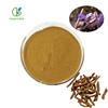 China Factory Supply polygaga Tenuifolia Extract polygaga Tenuifolia Root Extract10:1 for sale