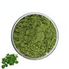 China Pure nature Bulk Moringa Leaf Powder for sale