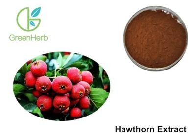 China 5% Crataegus Pinnatifida Bunge For High Blood Pressure , Hawthorn Berry Extract for sale