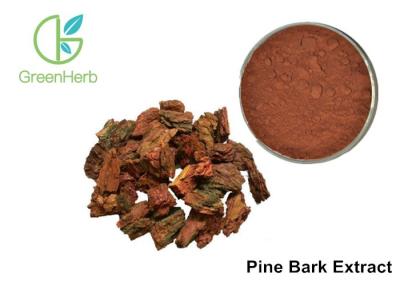 China 95% Proanthocyanidins Anthocyanin Extract Powder Pine Bark Extract Powder for sale
