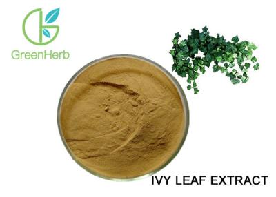 China Natural Ivy Leaf Extract Powder Hedera Helix Extract 10% Hederacoside C for sale