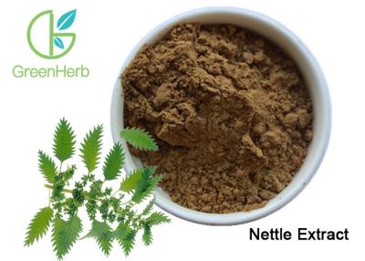 China Phytosterols Stinging Nettle Root Extract / Standardized Herbal Extracts Food Grade for sale