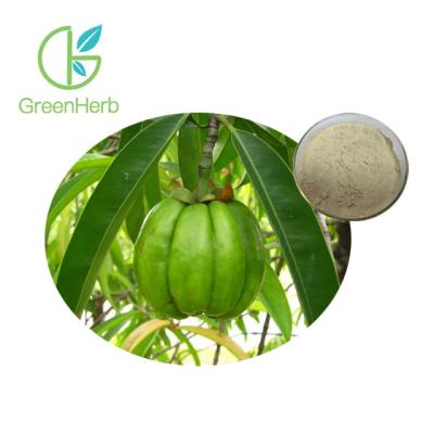 China Natural Weight Loss Garcinia Cambogia Extract 50% 60% HCA Hydroxycitric Acid for sale
