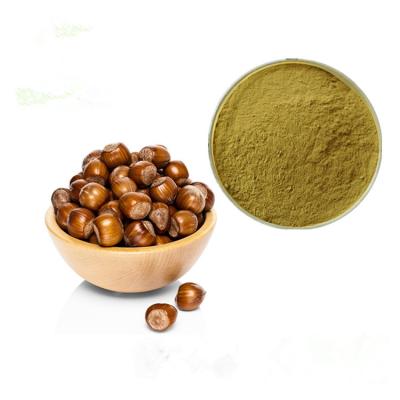 China Natural Herbal Plant Extract Hazelnut Extract Powder / Corylus Chinensis Extract for sale