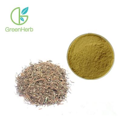 China 100% Natural Medicinal Plants Powder For Health Care Bupleurum Extract for sale
