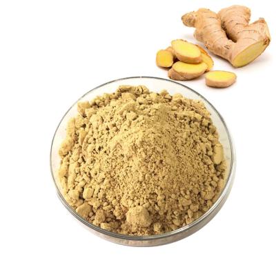 China 20% Gingerols Ginger Extract Ginger Root Extract Ginger Extract Powder for sale