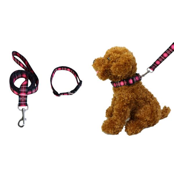 Quality Bright Dog Lead And Collar Set Adjustable 30-48cm Buckledown Dog Collars for sale