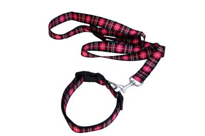 China Metal Buckle Seatbelt Pet Collars Leashes 2.5CM Width OEM For Dog for sale