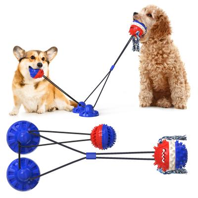 China Dentes de cão interativos sibilantes dos brinquedos do animal de estimação do copo da sução dobro que limpam o ODM da bola TPR à venda