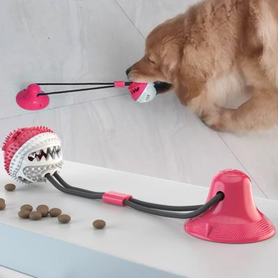 China Dientes de perro amistosos de Eco pequeños que limpian los juguetes el echar los dientes del perrito del entrenamiento de la reunión del ODM de los juguetes en venta