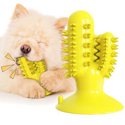 China Cactus Shape Interactive Pet Toys Molar Teeth Dog Dental Chew Toy TPR 125g for sale