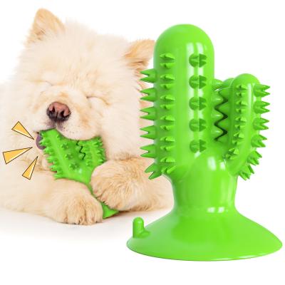 China Cactus Dog Teeth Cleaning Chew Toy Squeaky Rubber Relieve Anxiety TPR OEM for sale