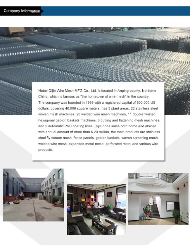 2.5mm-3.0mm Hot DIP Galvanized Chain Link Fence