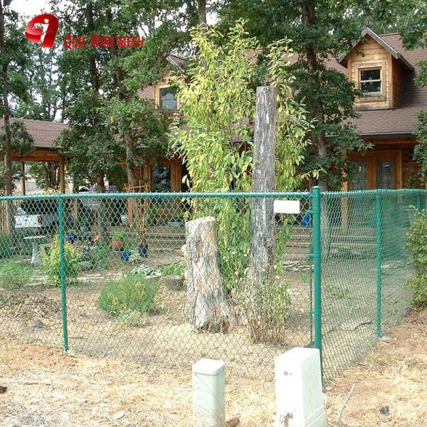 Quality Farm and Hot DIP Galvanized Chain Link Fence Factory for sale