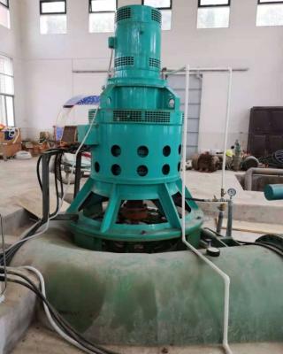 China Brushless Excitation Kaplan Generator Hydro Turbine Generator for sale