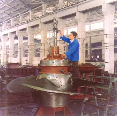 中国 6-20KV 発電機 電圧 水力タービン タービンの種類 垂直カプランタービン 販売のため