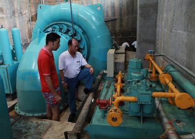 China Vertikales bürstenloses Wasserkraftnetz mit bürstenlosem Generator zu verkaufen