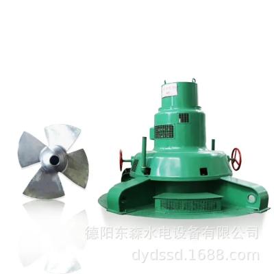 China 200kw Vertical Low Head Hydro Turbine Horizontal Hydro Turbine 13m Head for sale