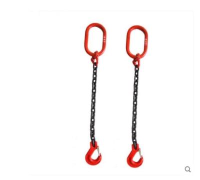 China WITH HOOKS 2 LEGS Double Legs Lifting Chain Sling/chain with hook for sale