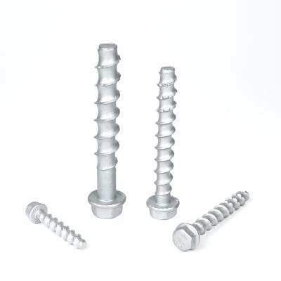 China Flat Head Stainless Steel Concrete Bolt Anchor M6 M8 M10 M12 for Customized Support for sale