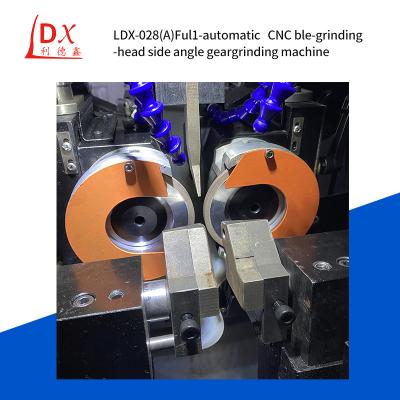 中国 サーボ TCT サーブ 円形 サーブ 刃 二重 磨き頭 サイド 角度 完全な CNC 磨き機 LDX-028A 販売のため