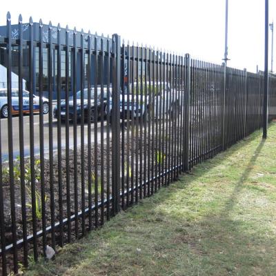 China 2400mm Width Square Tube Welded Steel Picket Fence for sale