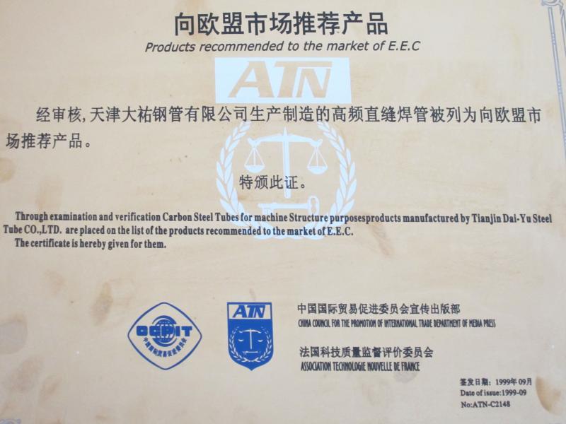  - Tianjin Dayou Steel Tube Co.,Ltd.
